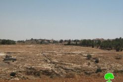 A new master plan for Ma’on colony at the expense of Palestinian lands