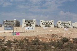 تقرير الانتهاكات الإسرائيلية في الأراضي المحتلة – تشرين الاول 2016  اعتداءات المستوطنين تتصاعد… واشجار الزينون تحرق
