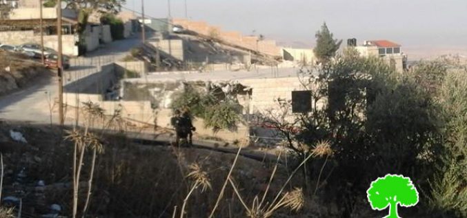 Israeli Occupation Forces demolish structures in the Jerusalem village of AL-Isawiya