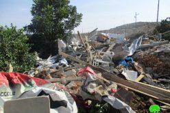 Israeli Occupation Forces demolish nine agricultural structures in Qalqiliya