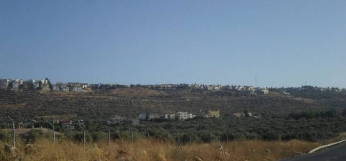 Israeli occupation authorities to establish a cemetery on confiscated lands from Salfit governorate