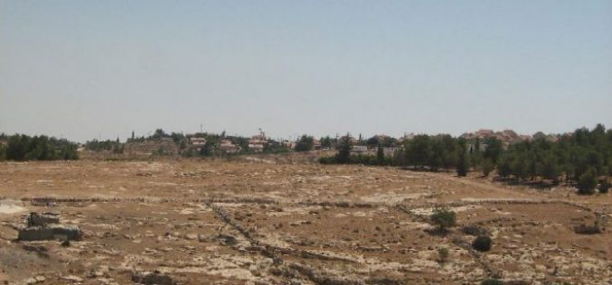 A new master plan for Ma’on colony at the expense of Palestinian lands