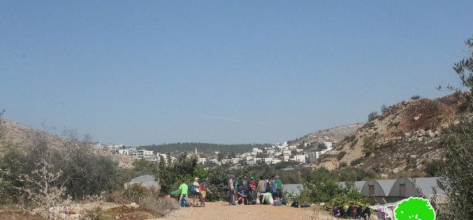 مستعمرو “بيتار عيليت” يقتحمون البرك الزراعية لقرية واد فوكين  بمحافظة بيت لحم