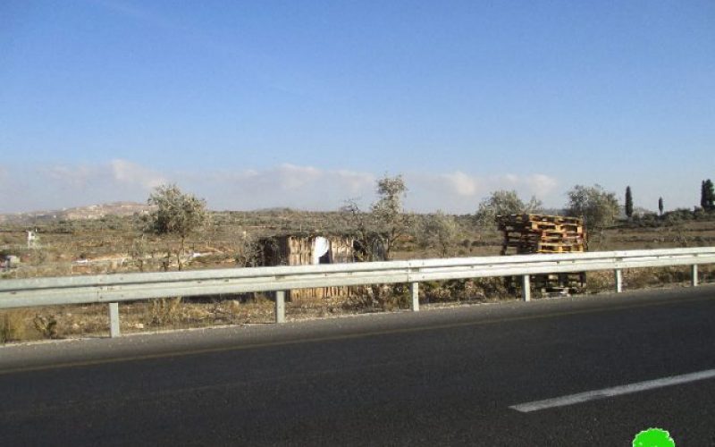 During the olive harvesting season: A Kfar Tapuah colonist establishes an agricultural room on 24 dunums from Salfit governorate