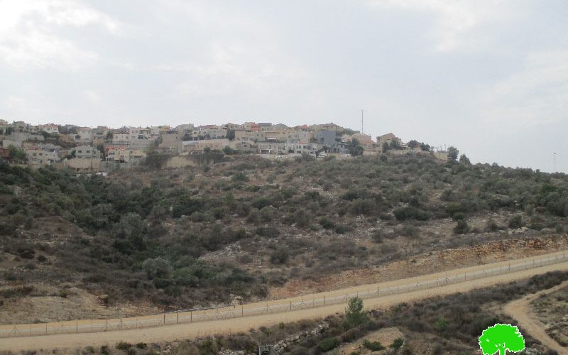 New master plan for Alfei Menashe colony at the expense of Azzun town