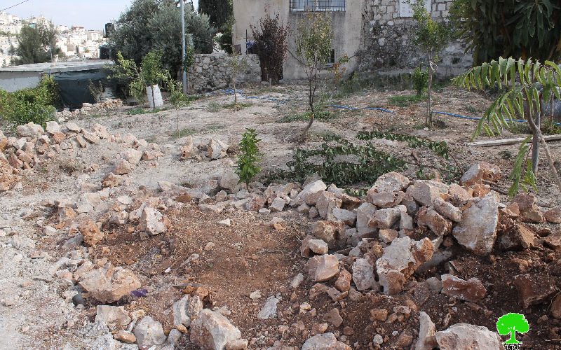 Dozers of Israel Municipality in Jerusalem demolish a residence and a stable in Al-Thori neighborhood