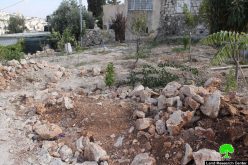 جرافات الاحتلال تهدم مسكناً وإسطبل لتربية الخيل في حي الثوري بالقدس المحتلة