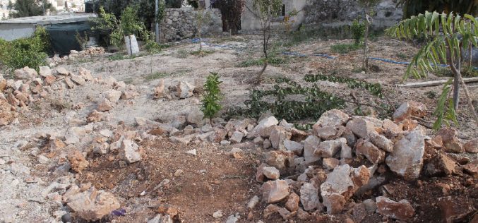 Dozers of Israel Municipality in Jerusalem demolish a residence and a stable in Al-Thori neighborhood