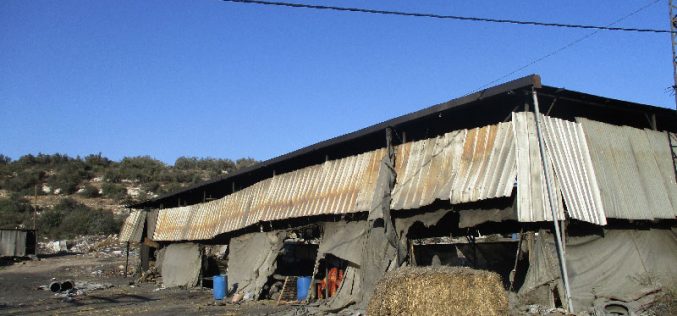 الاحتلال الاسرائيلي يصادر أطنان من الفحم ومعدات زراعية في بلدة  يعبد