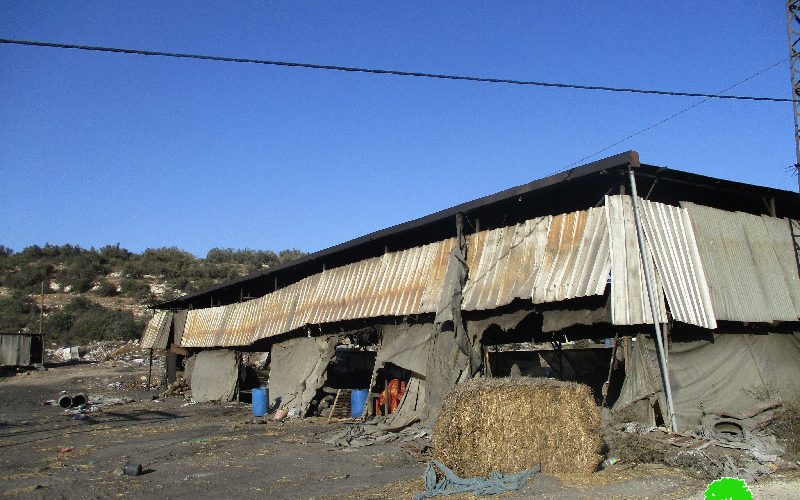 الاحتلال الاسرائيلي يصادر أطنان من الفحم ومعدات زراعية في بلدة  يعبد