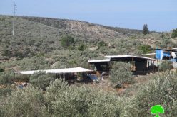 Stop-work orders on agricultural barracks in the Salfit town of Deir Istiya