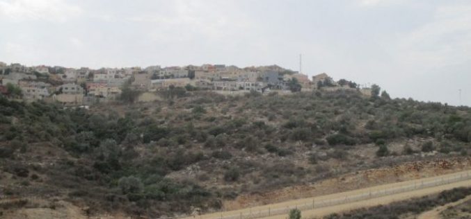 New master plan for Alfei Menashe colony at the expense of Azzun town