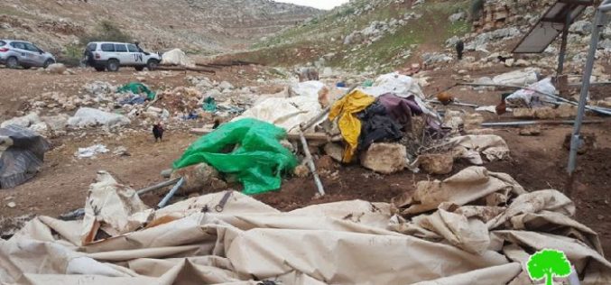 Israeli Occupation Forces demolish Tana hamlet again
