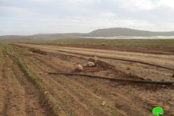 هدم الخط المياه الناقل المغذي لعدد من الخرب البدوية في الأغوار الشمالية