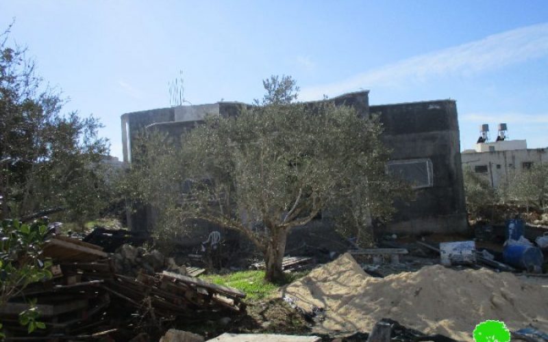 Israeli Occupation Forces notify residences and storage units of Stop-work in Salfit