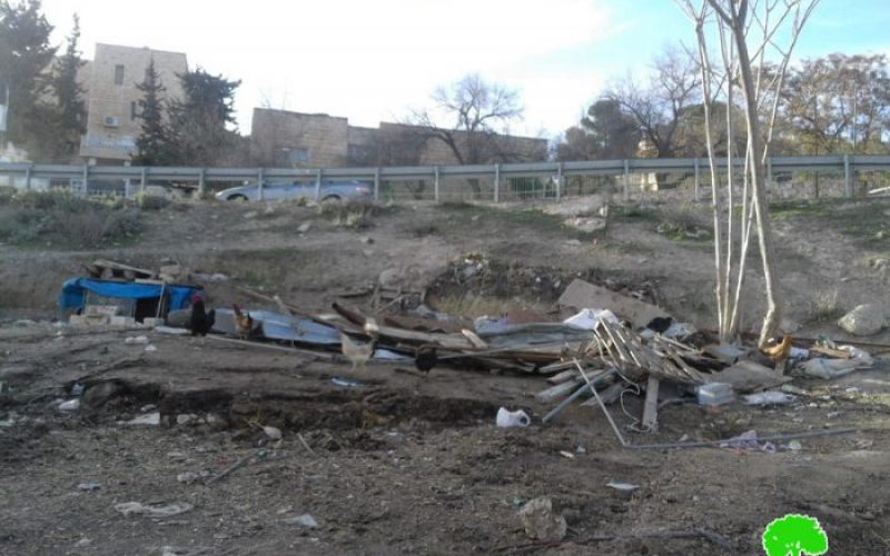 Israel Municipality demolishes a barn in Jabal Al-Mukabbir area