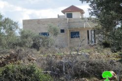 Stop-work orders on residential and industrial structures in Salfit governorate