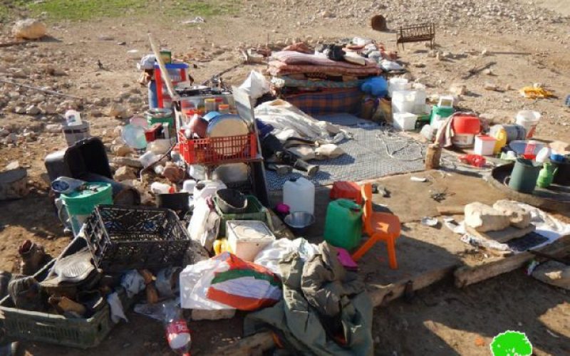 Israeli Occupation Forces demolish tents and residences for the tenth time in the Jericho hamlet of Karzliya