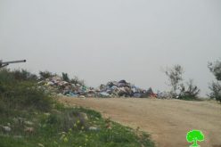 مصادرة 3 سيارات لنقل النفايات تابعة لمجلس إدارة النفايات الصلبة في قرى شرق مدينة قلقيلية