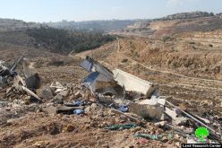 The Monthly Report on Israeli Violations in Occupied Jerusalem during November  2016
