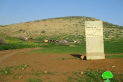 مستعمرو “سلعيت” يعتدون على  التجمع البدوي في خربة الحمة بمحافظة طوباس