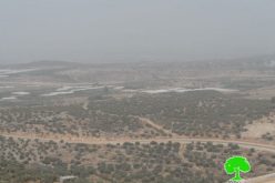 Israel to continue a land grab on 142 dunums in Tulkarm