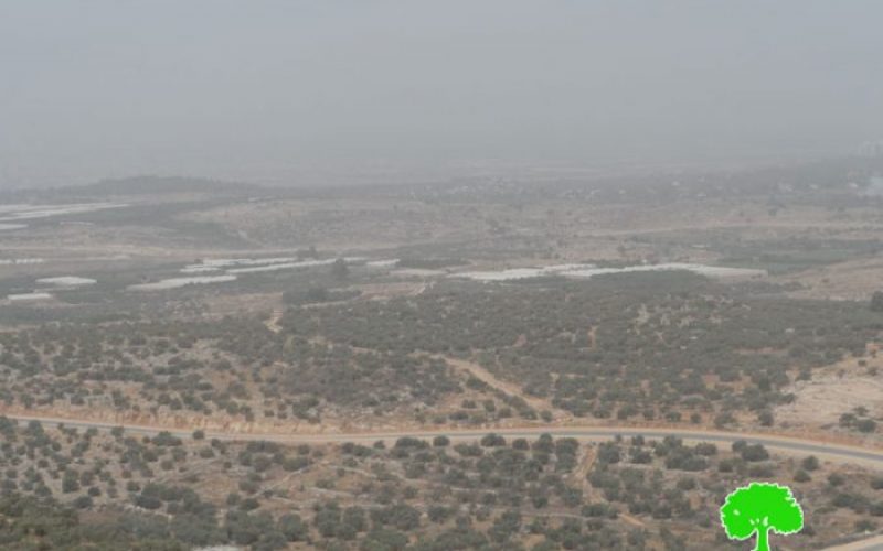 Israel to continue a land grab on 142 dunums in Tulkarm