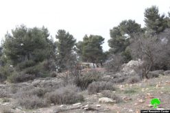 مستعمرو “غوش عصيون” يضعون كرفانات جديدة في ارض زراعية في محافظة بيت لحم