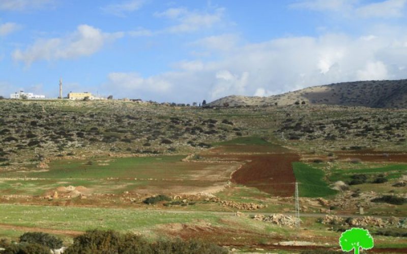 Israeli Occupation Forces confiscate vehicles from Yarza and Ibziq areas of Palestinian Jordan Valley