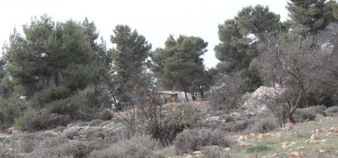 Gosh Etzion colonists set up caravans on Bethlehem lands in a step to create new outpost