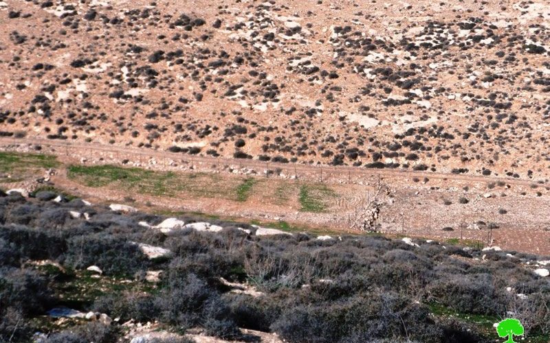 Stop-work and demolition order in the Hebron city of Yatta