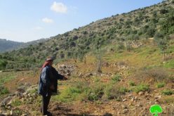 Israeli authorities order agricultural lands evacuated in Wad Qana area