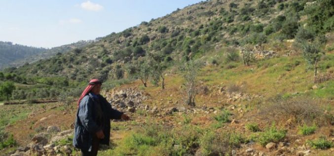 Israeli authorities order agricultural lands evacuated in Wad Qana area