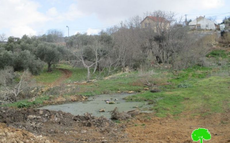 Shevut Rahel colony pumps sewage water towards Qaryut village