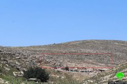 Final demolition order on agricultural and residential structures in Hebron