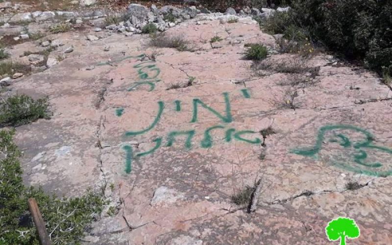 Revava colonists take over water well in Salfit governorate