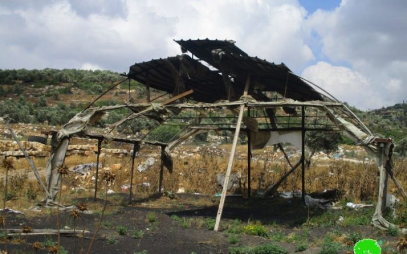 Colonists torch agricultural barrack in Burqa village, East Ramallah city