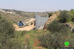 الاحتلال يحكم السيطرة على أراضي واد كريمزان ببناء الجدار العنصري / محافظة بيت لحم