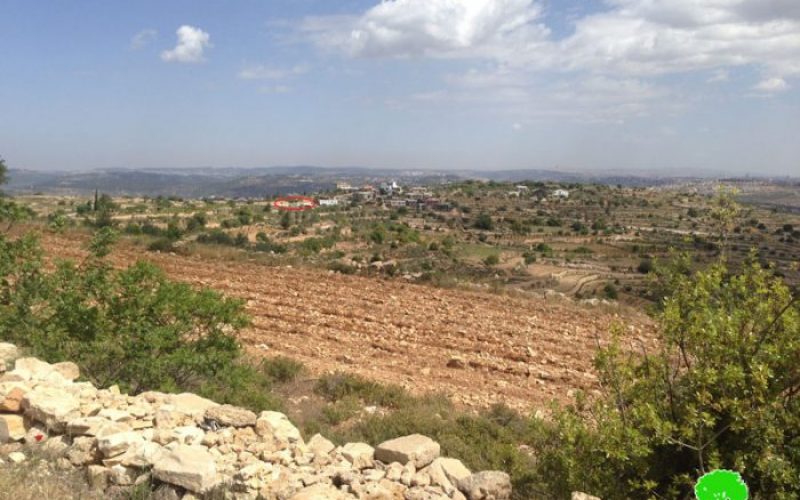 Sidi Bo’az colonists ravage agricultural land in Bethlehem city