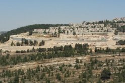 Monitoring Report on the Israeli Settlement Activities in the occupied State of Palestine – May 2017