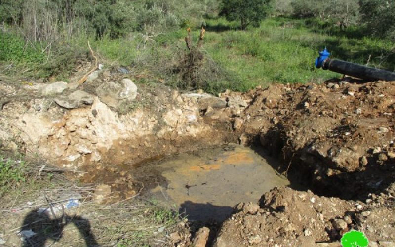 Ariel colony pumps sewage water into Palestinian lands in Salfit
