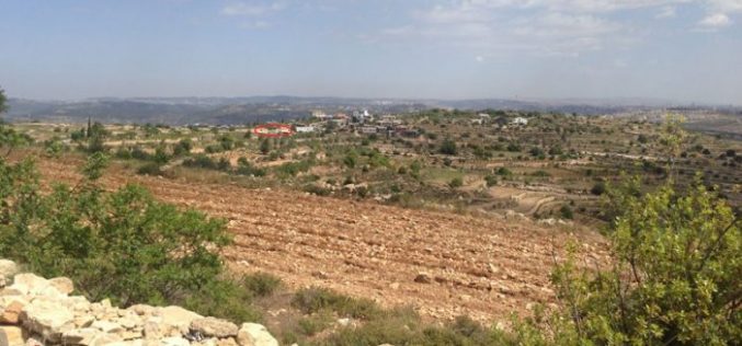 Sidi Bo’az colonists ravage agricultural land in Bethlehem city
