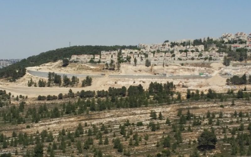 Monitoring Report on the Israeli Settlement Activities in the occupied State of Palestine – May 2017
