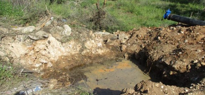 Ariel colony pumps sewage water into Palestinian lands in Salfit
