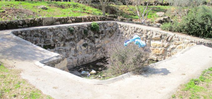 مستعمرو مستعمرة ” رفافا” يردمون  بئر للمياه  شمال مدينة ديرستيا