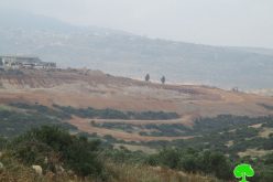 Expansion works on the Israeli industrial zone Shaked