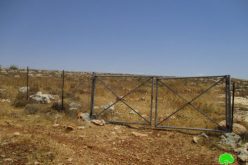 Israeli Occupation Forces order pastoral reserve of eviction in Nablus city