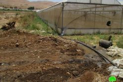 الشروع  في تجريف أراض زراعية في قرية فروش بيت دجن