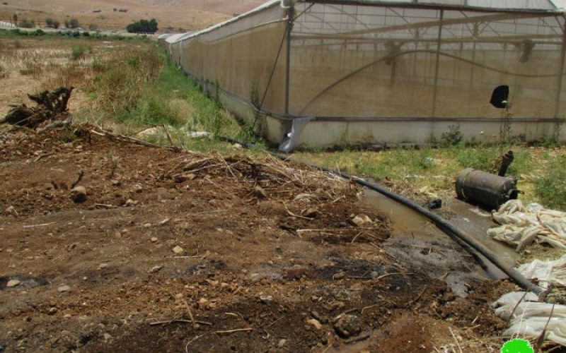 Israeli Occupation Forces ravage agricultural land in Furush Beit Dajan village