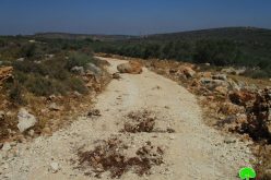 Israeli Occupation Forces close agricultural road north Salfit governorate
